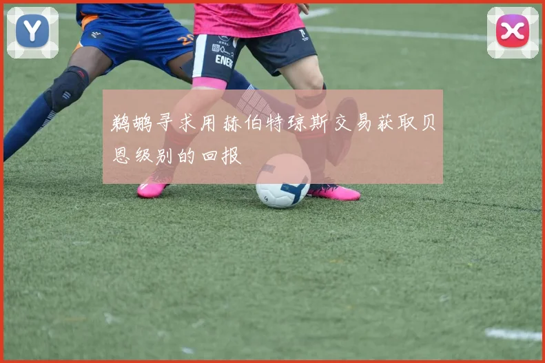 鹈鹕寻求用赫伯特琼斯交易获取贝恩级别的回报