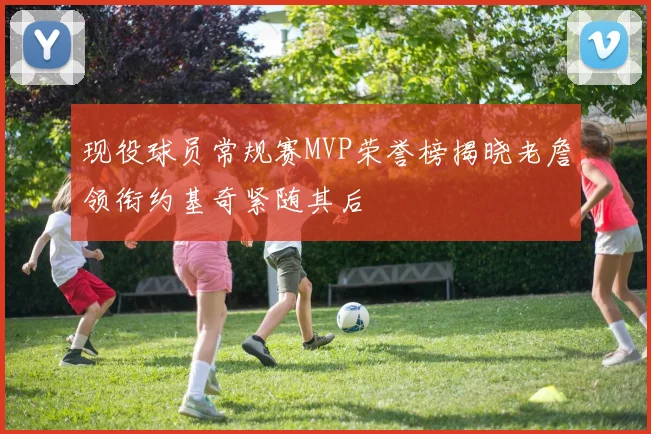 现役球员常规赛MVP荣誉榜揭晓老詹领衔约基奇紧随其后