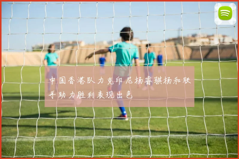 中国香港队力克印尼杨睿骐杨和联手助力胜利表现出色